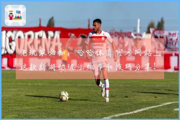 老玩家必知，哈哈体育官方网站上这款新游的玩法细节和技巧分享！