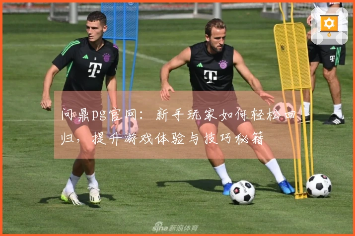 问鼎pg官网：新手玩家如何轻松回归，提升游戏体验与技巧秘籍