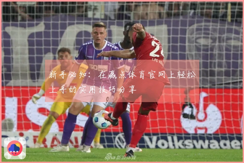 新手必知：在赢点体育官网上轻松上手的实用技巧分享