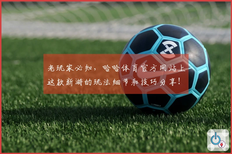老玩家必知，哈哈体育官方网站上这款新游的玩法细节和技巧分享！